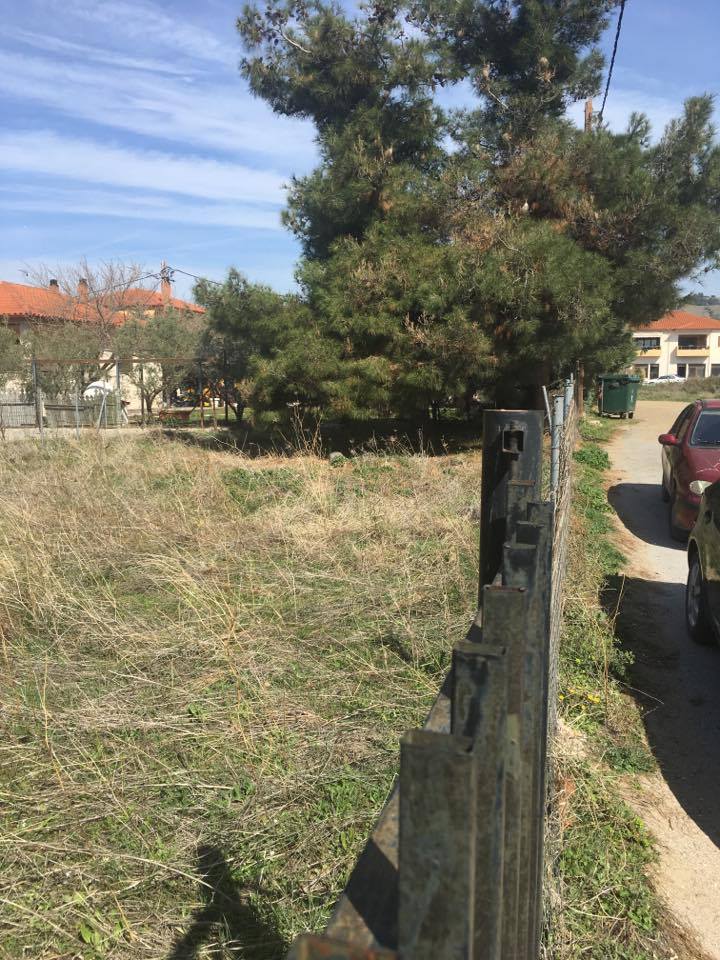 ПАРЦЕЛ ЗА ПРОДАЖБА- НИКИТИ-ХАЛКИДИКИ-СИТОНИЯ